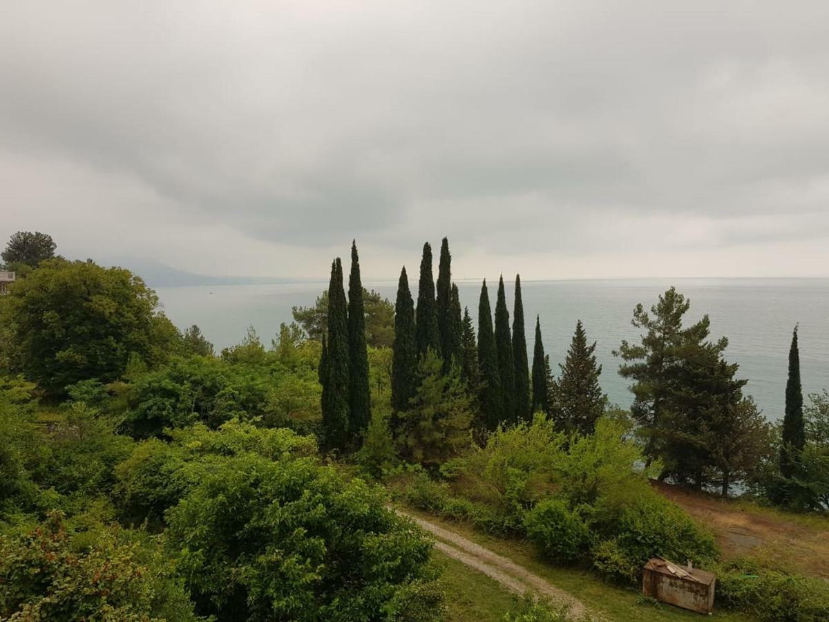 Гостевой Дом Мимоза Gagra Exterior foto